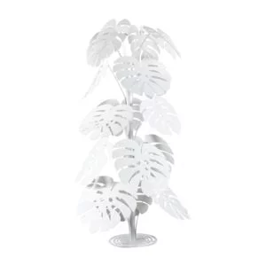 Pianta tropicale grande Monstera